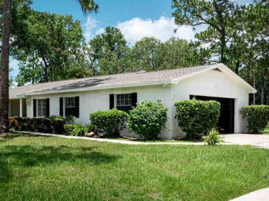 3Bdr2Bath Home In Lutz Close To Tampa, 20 Min To Stadium, Airport Екстер'єр фото