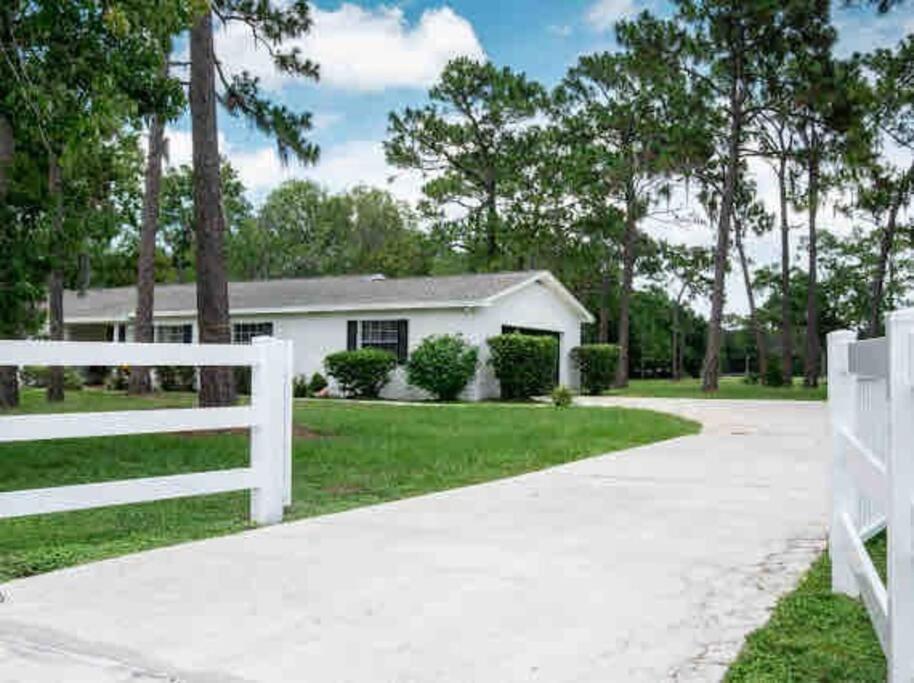3Bdr2Bath Home In Lutz Close To Tampa, 20 Min To Stadium, Airport Екстер'єр фото